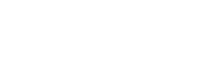 Warp Speed Holdings Logo - white - grayscale (1)
